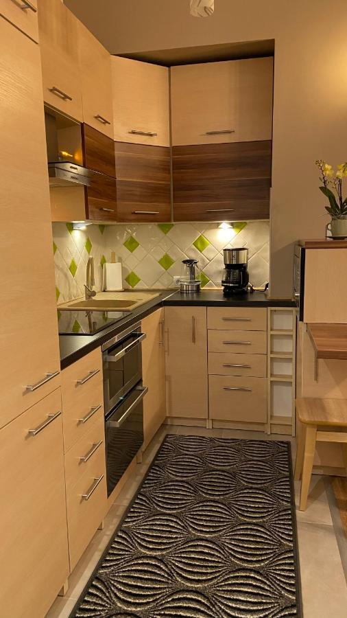 Lublinbnb - Exclusive Family Apartment ------ In The Heart Of Lublin -------------------------------- Bedroom & Living Room & Kitchen Exteriör bild
